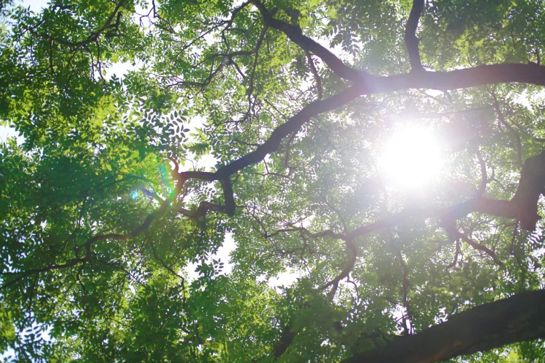 山东蓬莱八仙过海介绍,山东蓬莱八仙过海之地