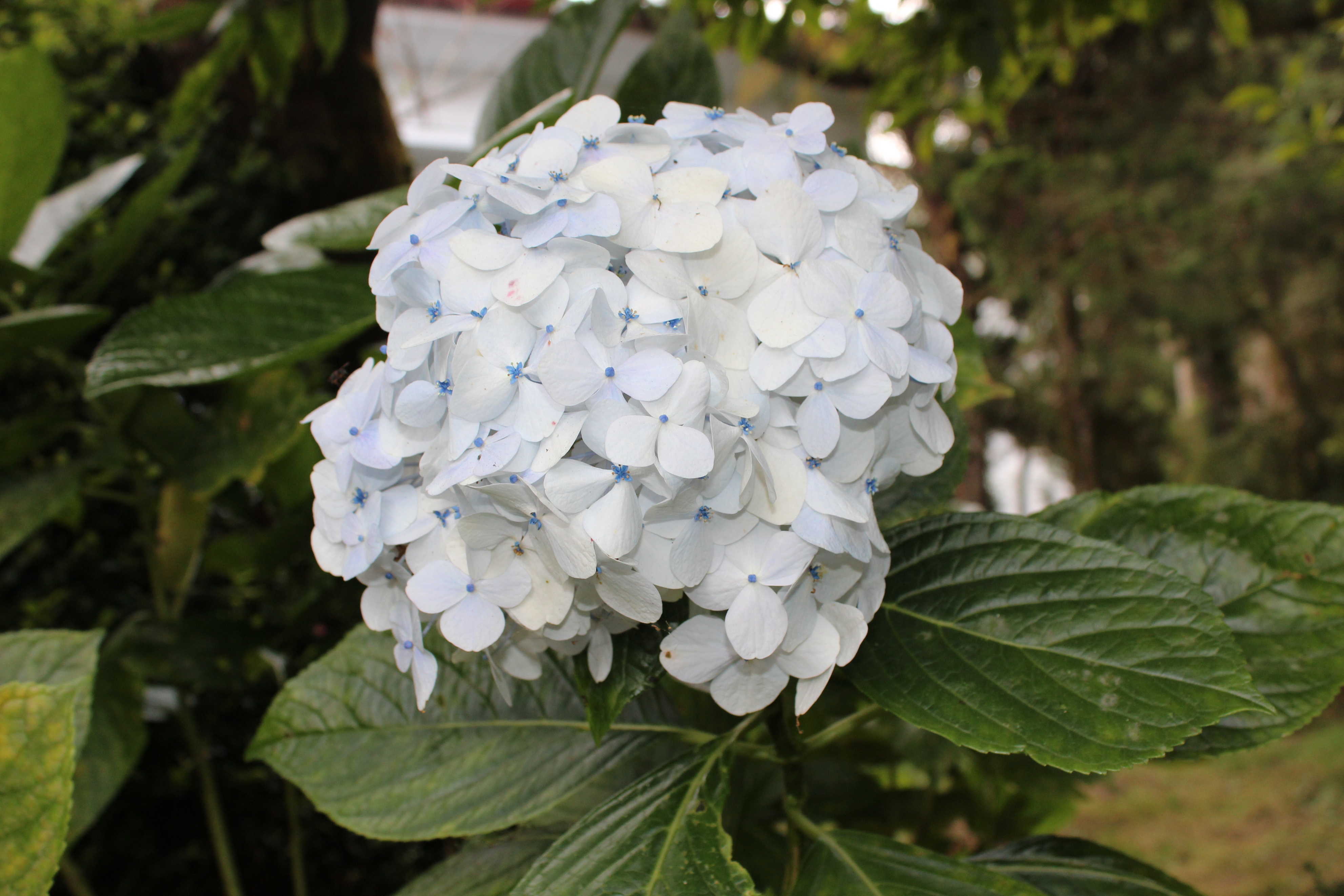 2017最全台湾购物攻略,台湾宝岛购物攻略