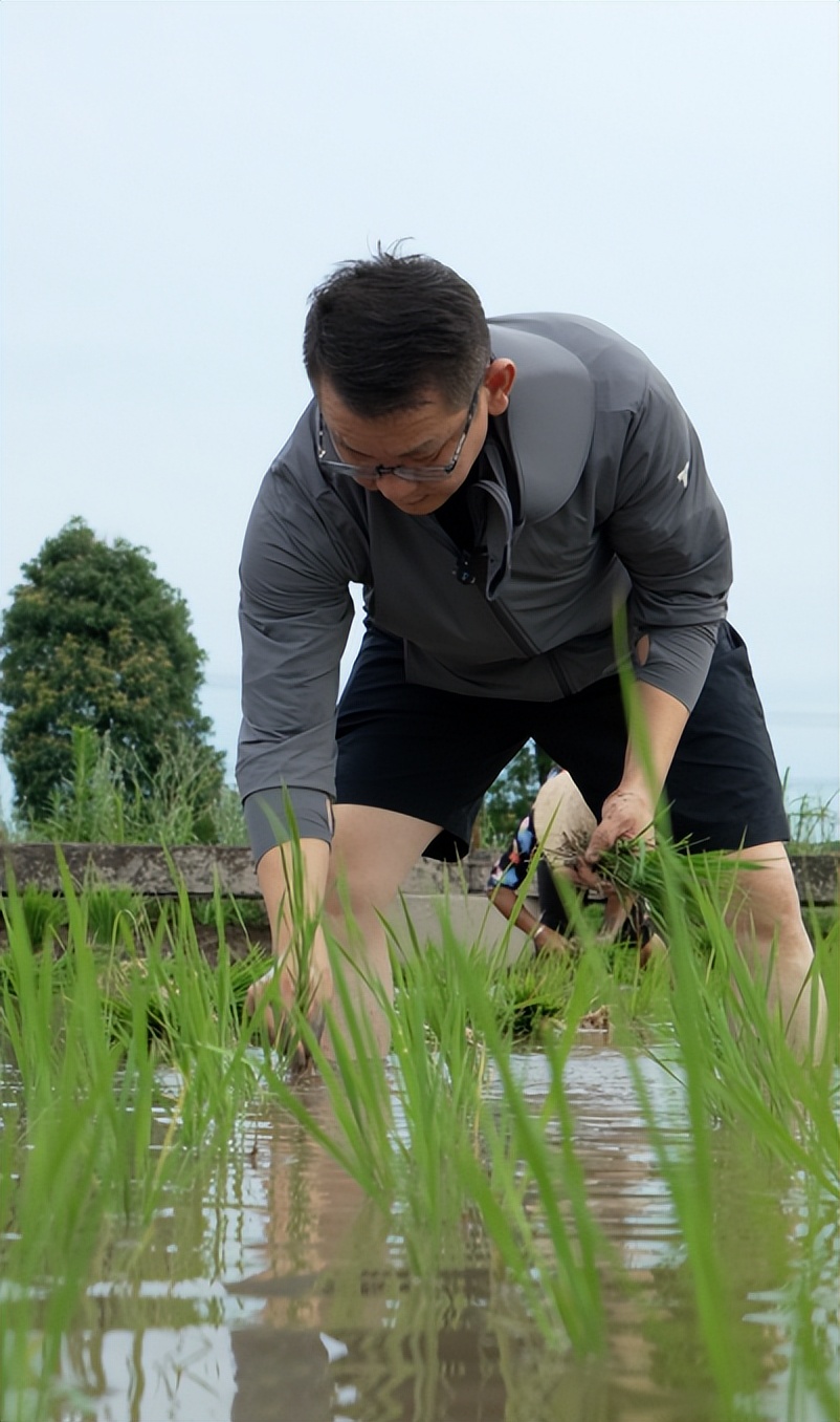 袁夫稻田：千亩诗意田园种出文创“网红”