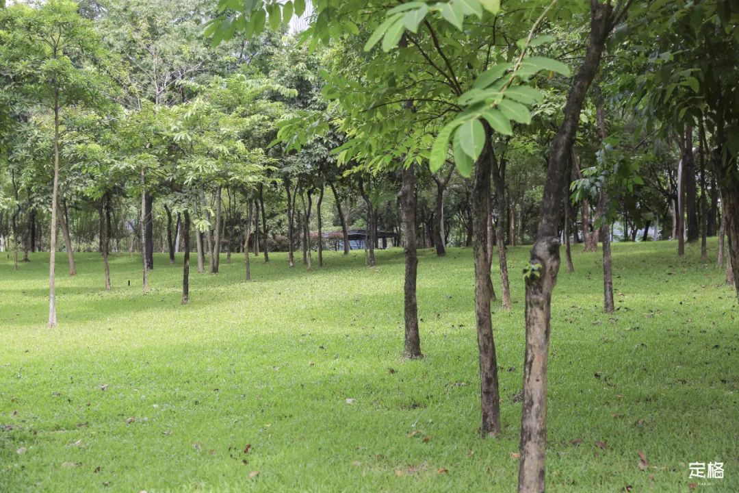 深圳地铁可以直接去的免费景点,深圳免费地铁直达景点12号线