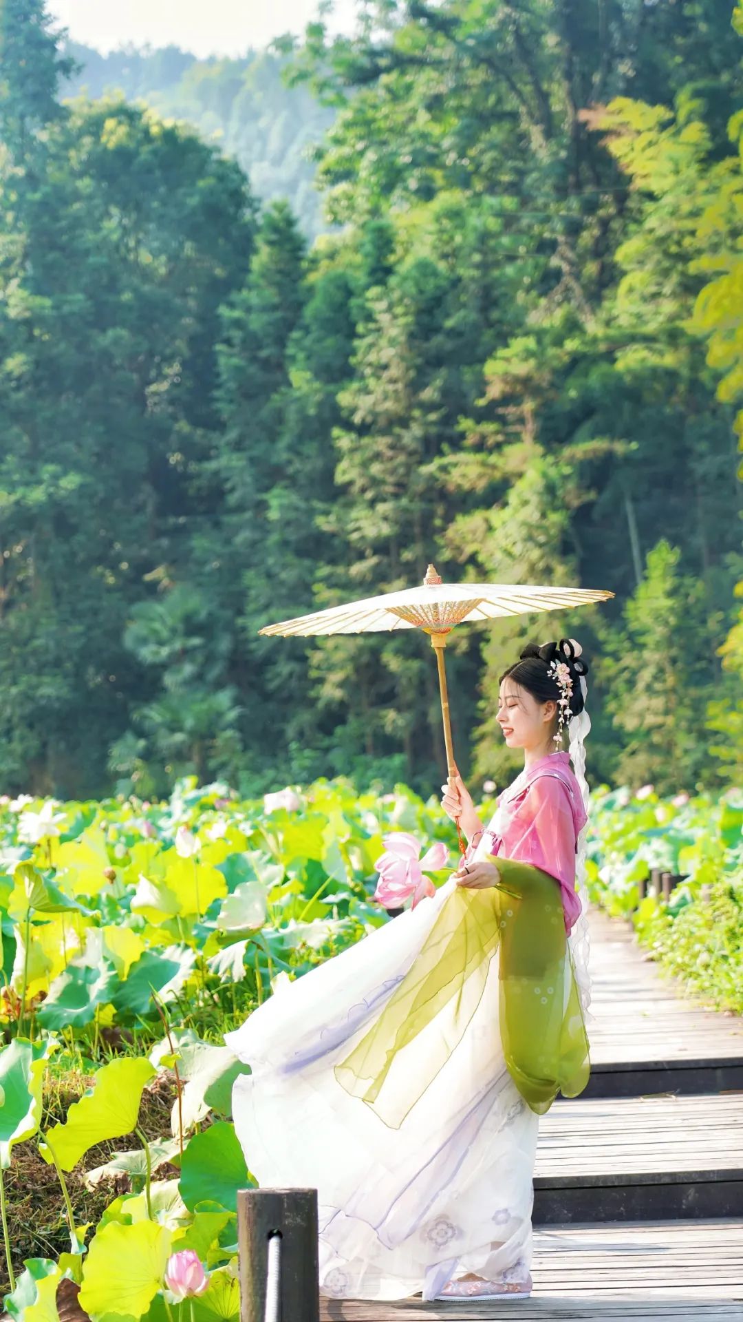 小暑已至！夏日顶流登场，一池荷风，满院莲香，惊艳了整个夏天！