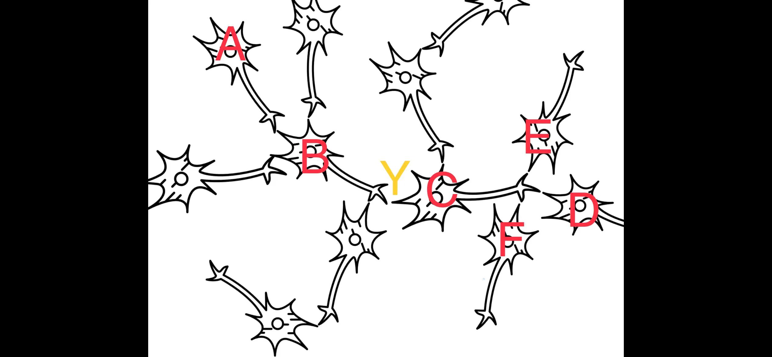 梦是不是潜在意识,梦具有预见性