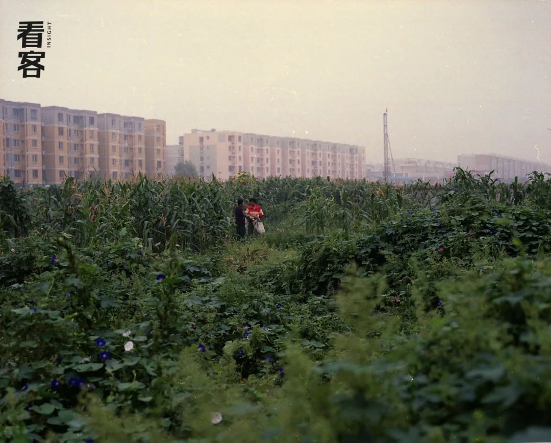 回龙观为啥称为睡城,回龙观以前是什么地方