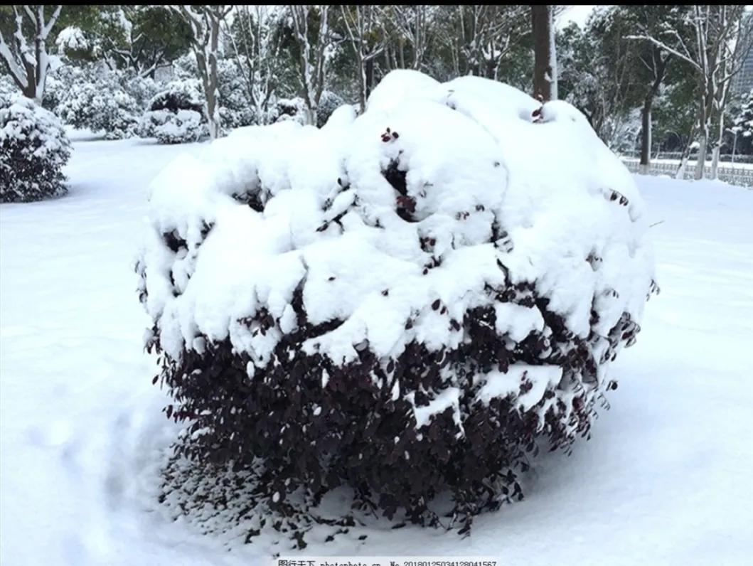 陕西礼泉著名诗人梁靖青短小散文《冬天的风》