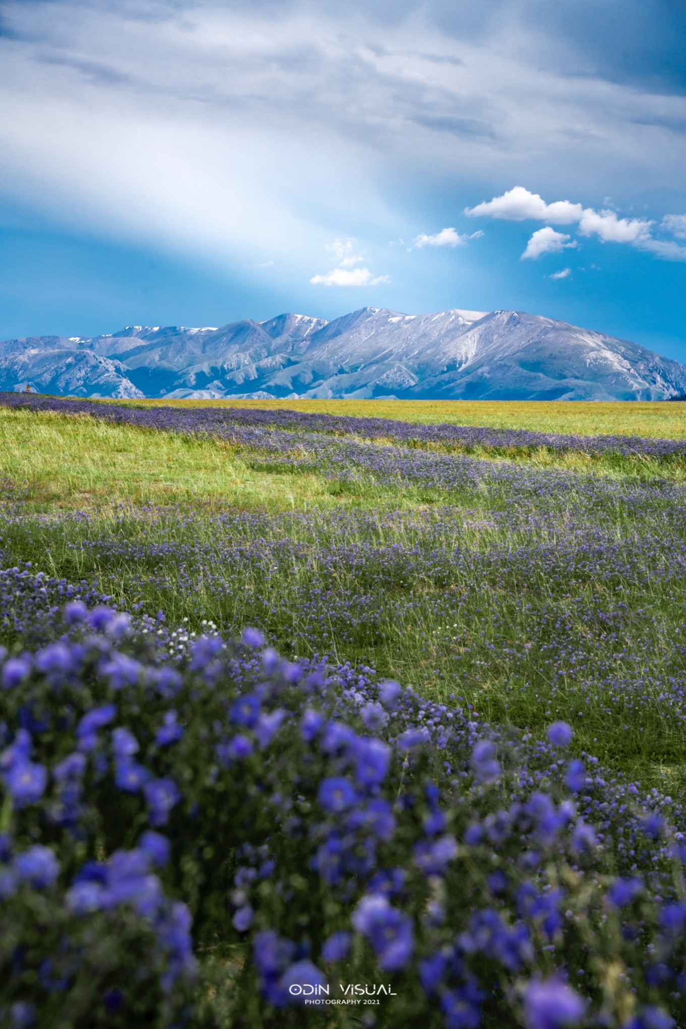 去新疆发现伊犁的美,世界之美尽在伊犁