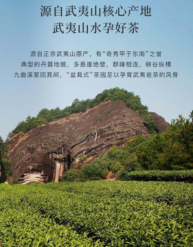 武夷山大红袍为什么那么名贵？