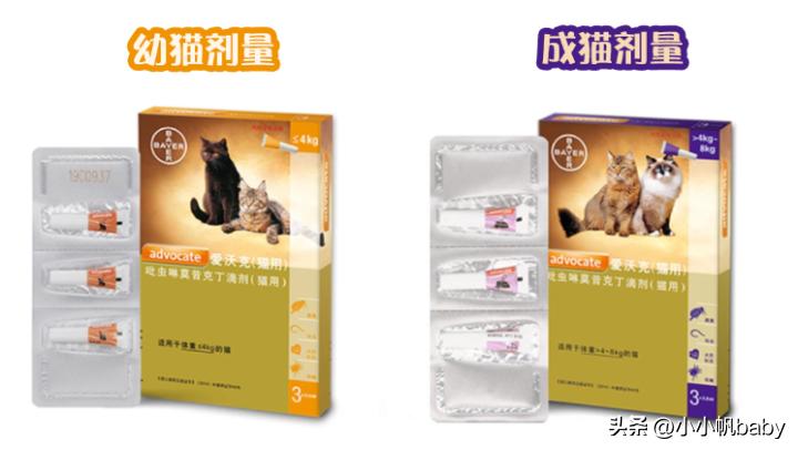 新手养猫铲屎官攻略,新手养猫驱虫知识