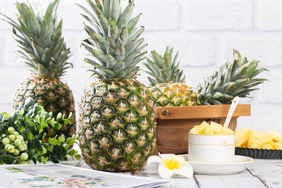 菠萝如何种植与管理,菠萝种植要施什么肥