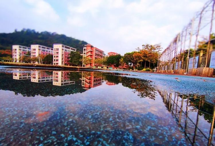 南沙东涌中学2023招生人数,南沙一中特长生