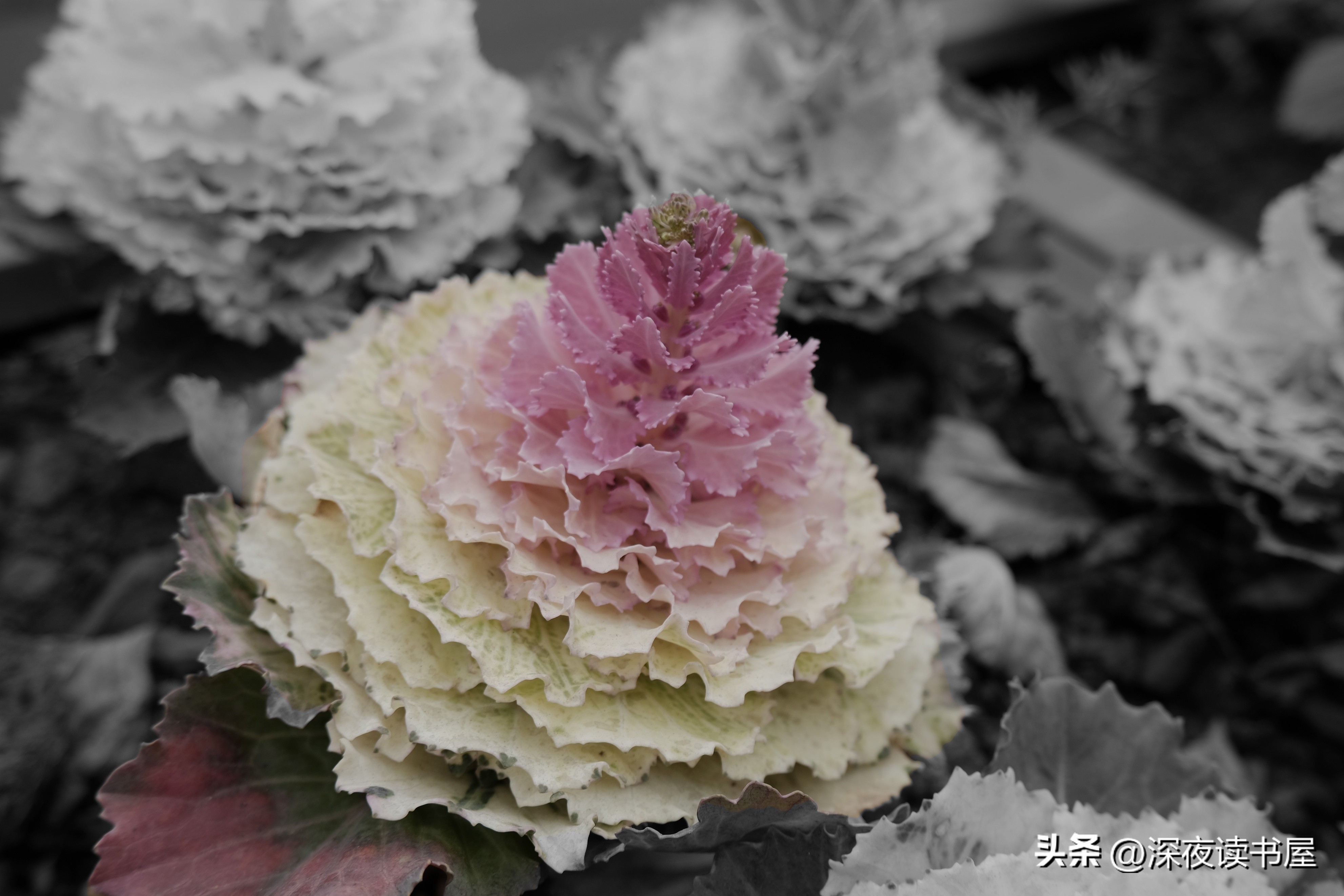 二十来岁学什么技术比较好呢,二十岁男孩学什么有前景