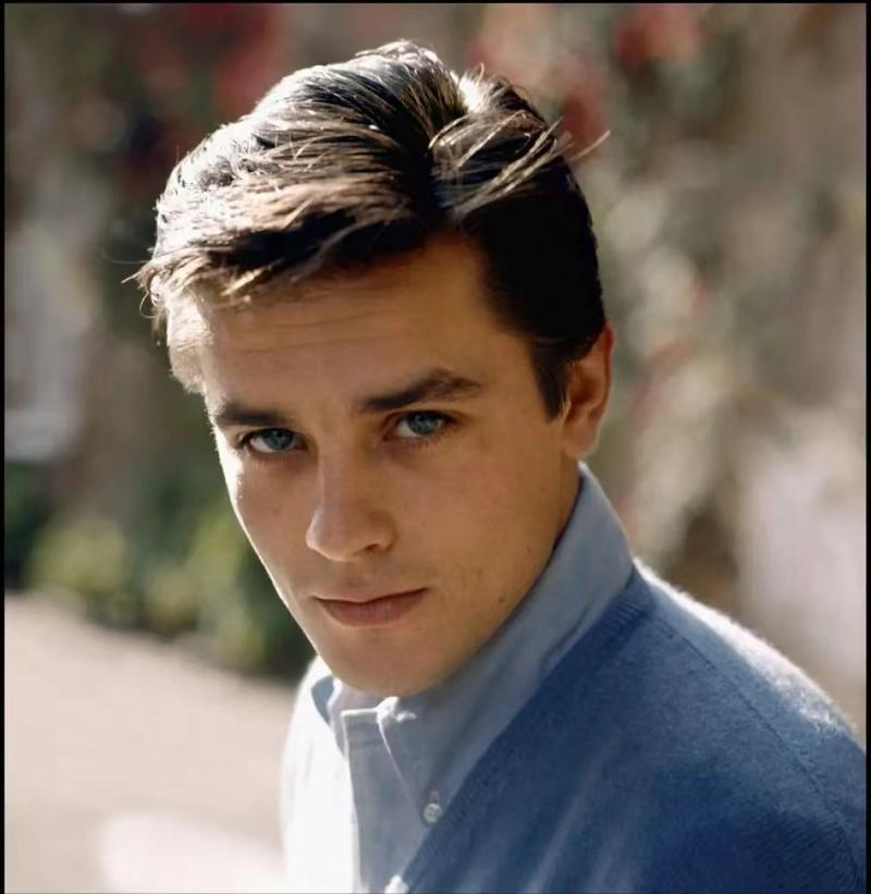 独行杀手深度解析,独行杀手视频完整版