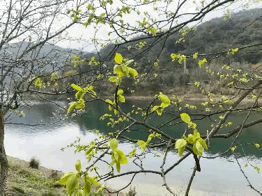 中沙之战足球,中国男足对鲁能的评价