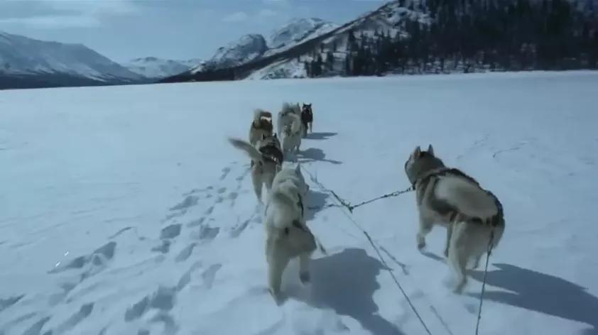 最美的电影瞬间,最美的电影片段