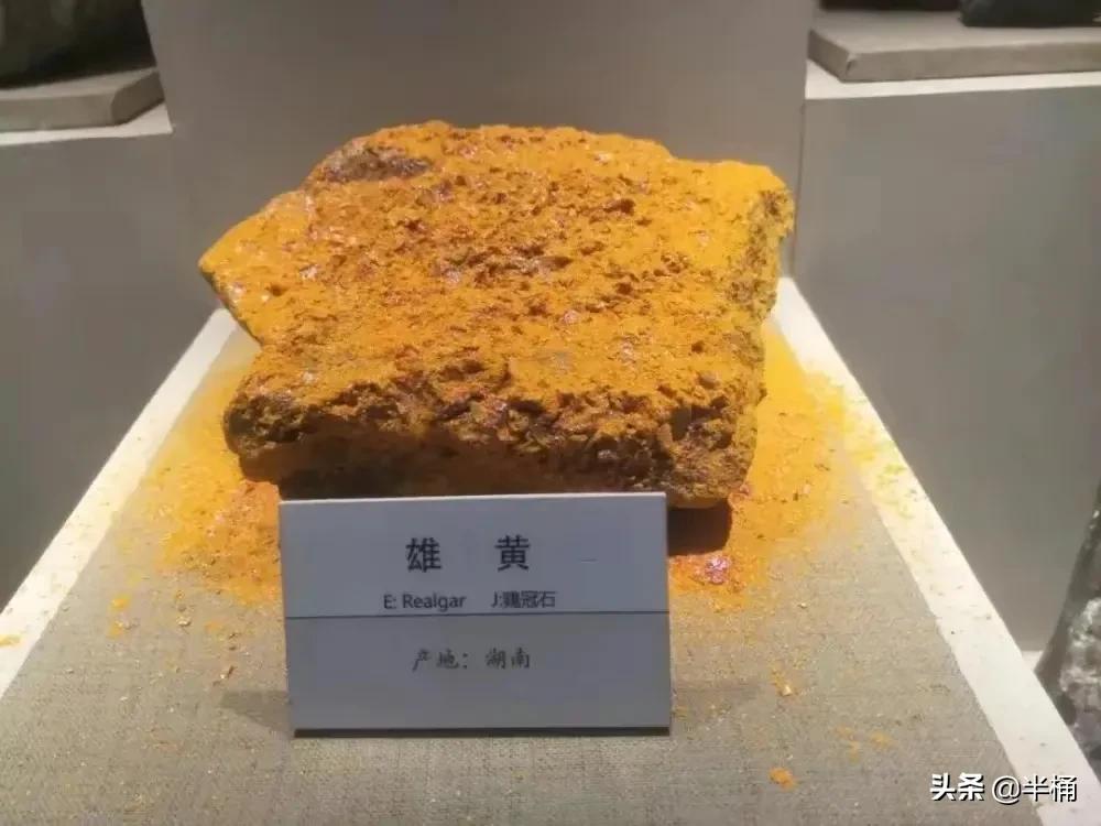 蛇出没的地方怎样预防,野外遇到蛇注意事项