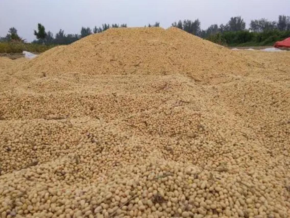 安徽一地多人遭雷击2人身亡,2003年安徽村民遭雷劈死亡