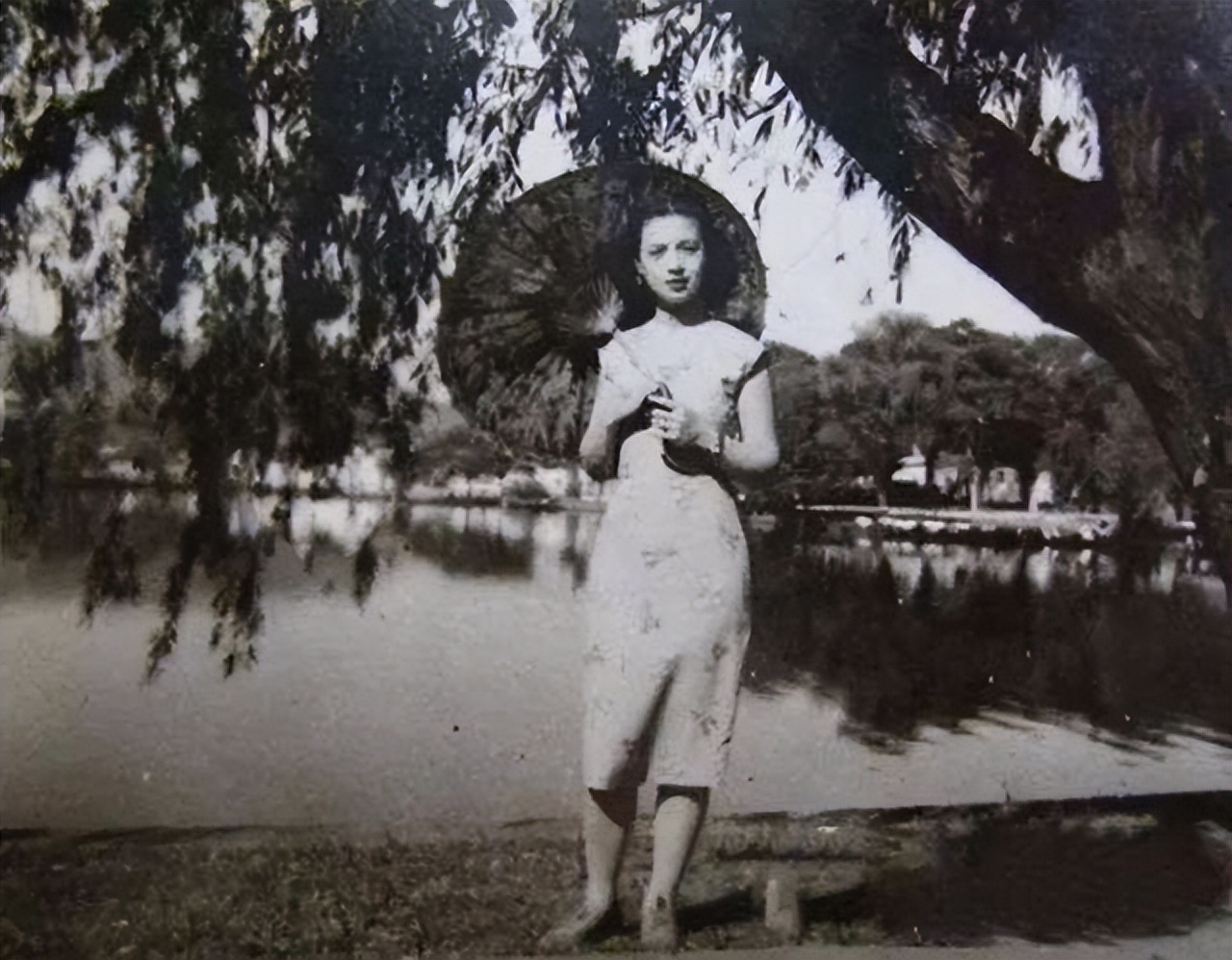 任芷芳现在怎么样,任芷芳现状