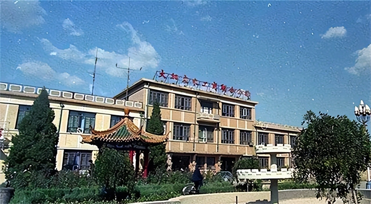 大邱庄景象如何？禹作敏的别墅杂草丛生，门牌被摘去，一片破败