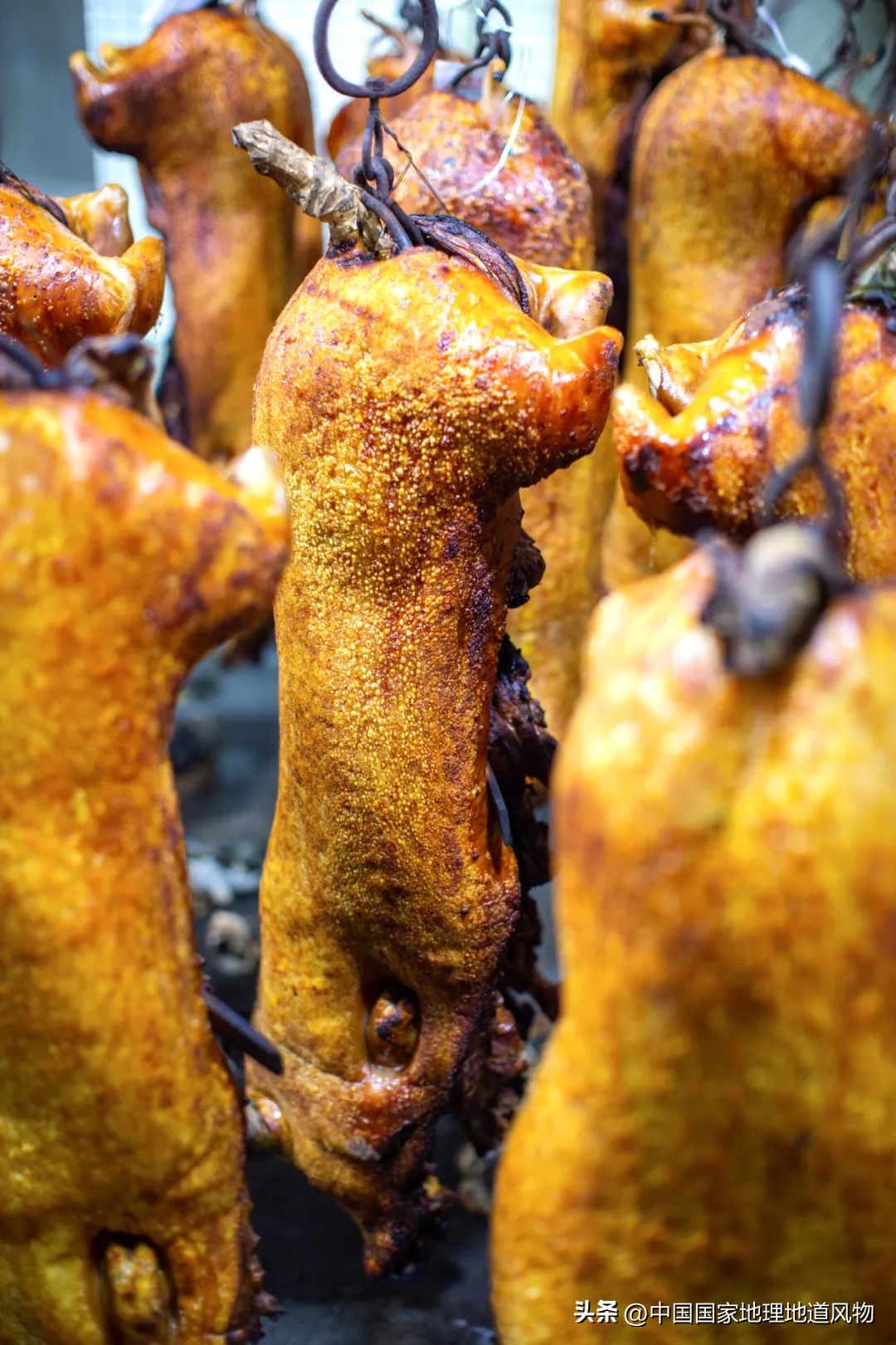 全国各地吃猪图鉴,哪个地方吃的猪最多