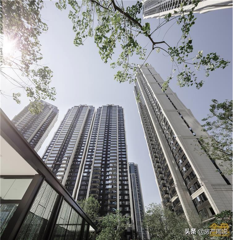 高端豪宅区域价值,大区实力排名