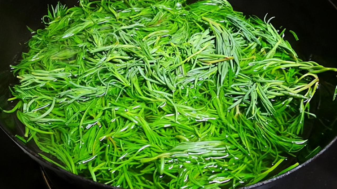 新鲜马齿苋如何凉拌好吃,马齿苋可以和荠菜一起吃吗