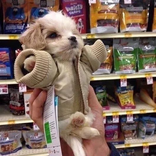 莆田小学教师年薪,初中教师真实收入