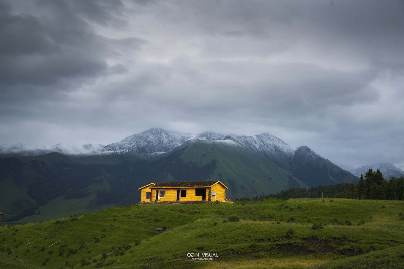 新疆伊犁之美,走了一圈才发现世界万物远不及你