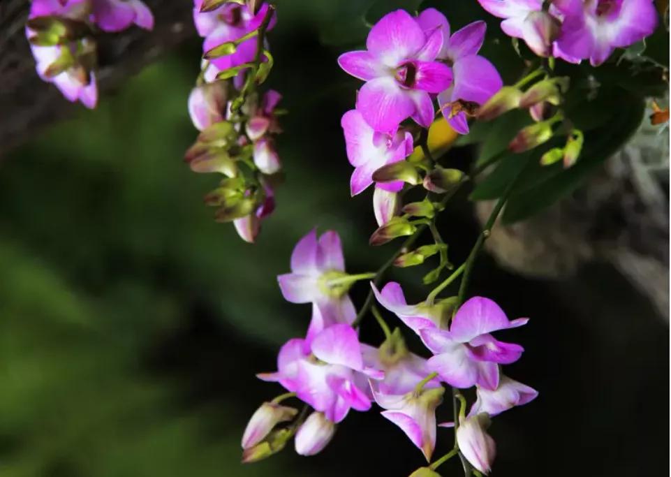 看了2022年平均工资，才知道最吃香的就业专业是哪些