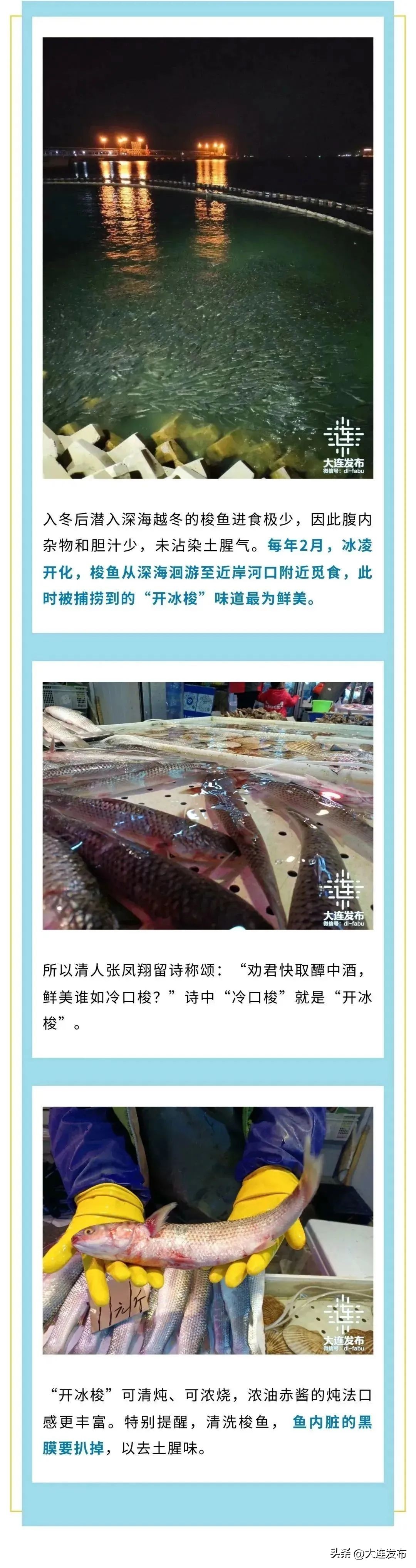 实现海鲜自由的秘诀,实现海鲜自由另一种说法