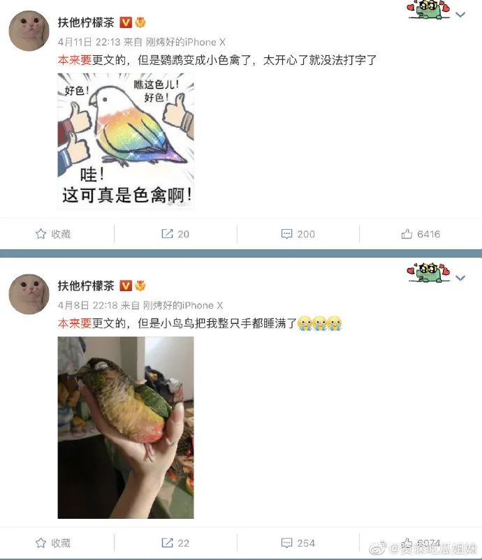网文作者被爆马甲,网文作者的奇葩经历