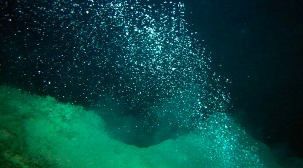 热液盲虾生活在450℃海底热泉旁，数量惊人，能不能用来烫火锅？