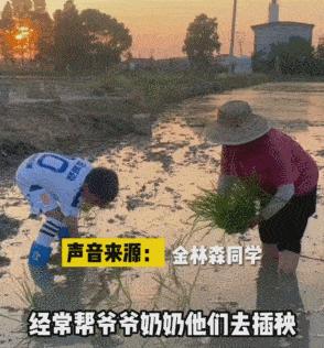 宁波9岁小学生超硬核！穿着足球服种田，网友赞不绝口！