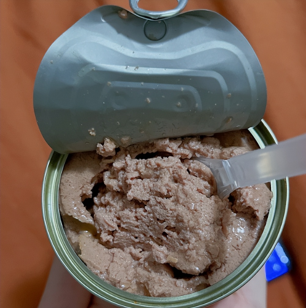 猫21测评：GFC全价猫宠物奶糕罐头怎样？包装怎样？（三）