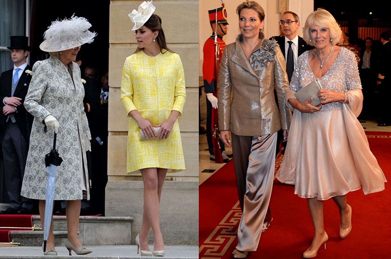 卡米拉终于当上了王后,卡米拉变好的视频