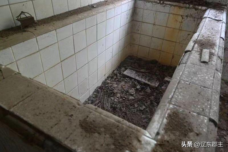 兴城204医院真实事件,兴城204医院的前世今生