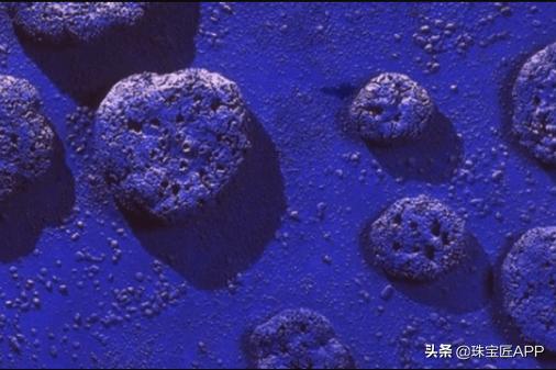 宝石蓝调克莱因蓝,宝石克莱因蓝