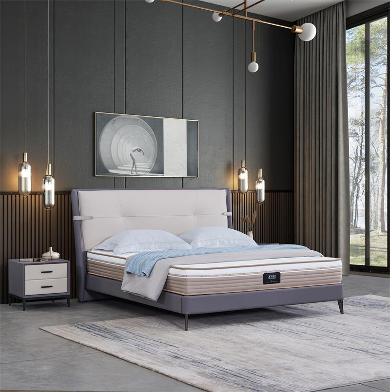 依丽兰健康环保家装领导者,依丽兰家居活动