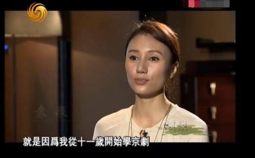 袁泉6根钢钉,袁泉走红毯打了多少明星的脸