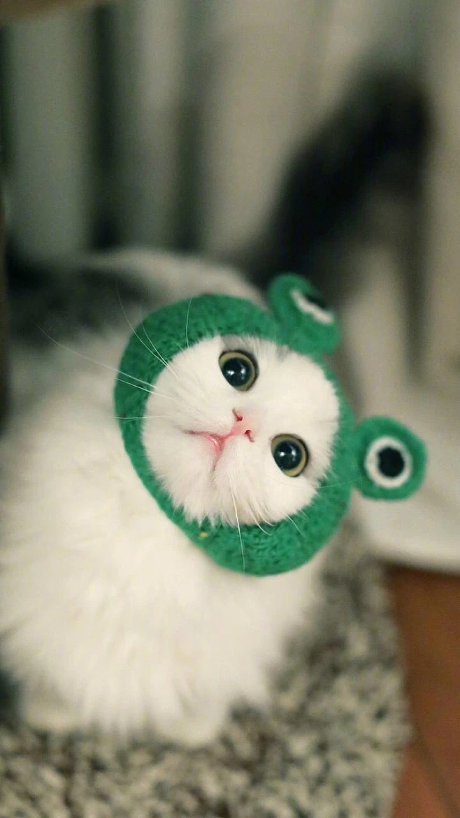 女生个性签名文案,渣男个性签名文案