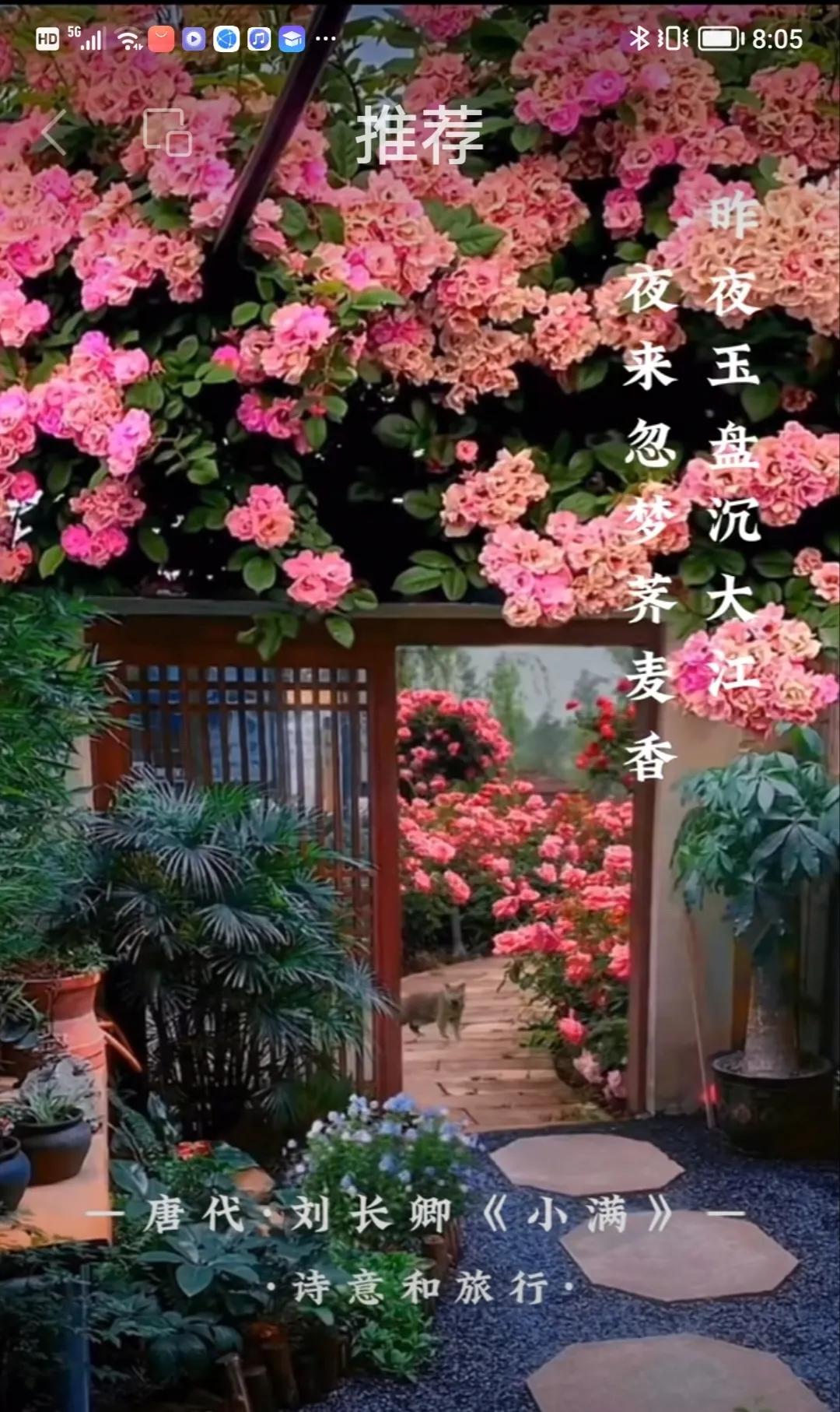 纪伯伦最经典八首散文诗,泰戈尔散文诗八首