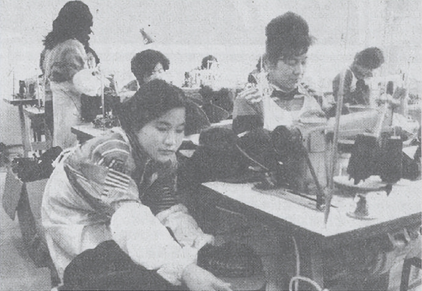 小白楼镇江道,小白楼创业大厦