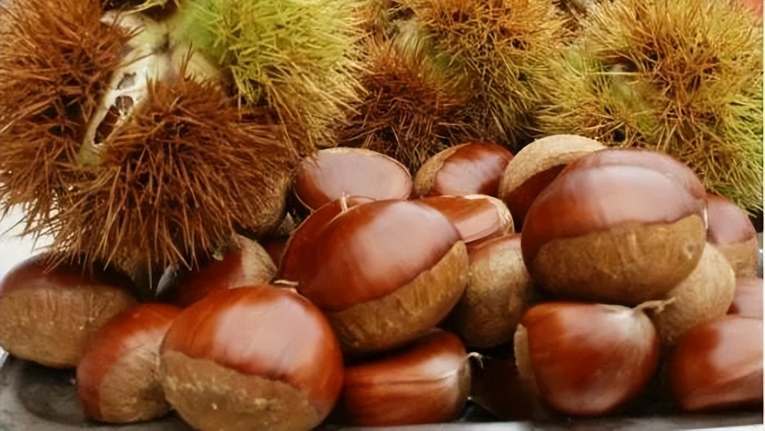 中国地理标志农产品品牌展播,潍坊名优农产品有哪些