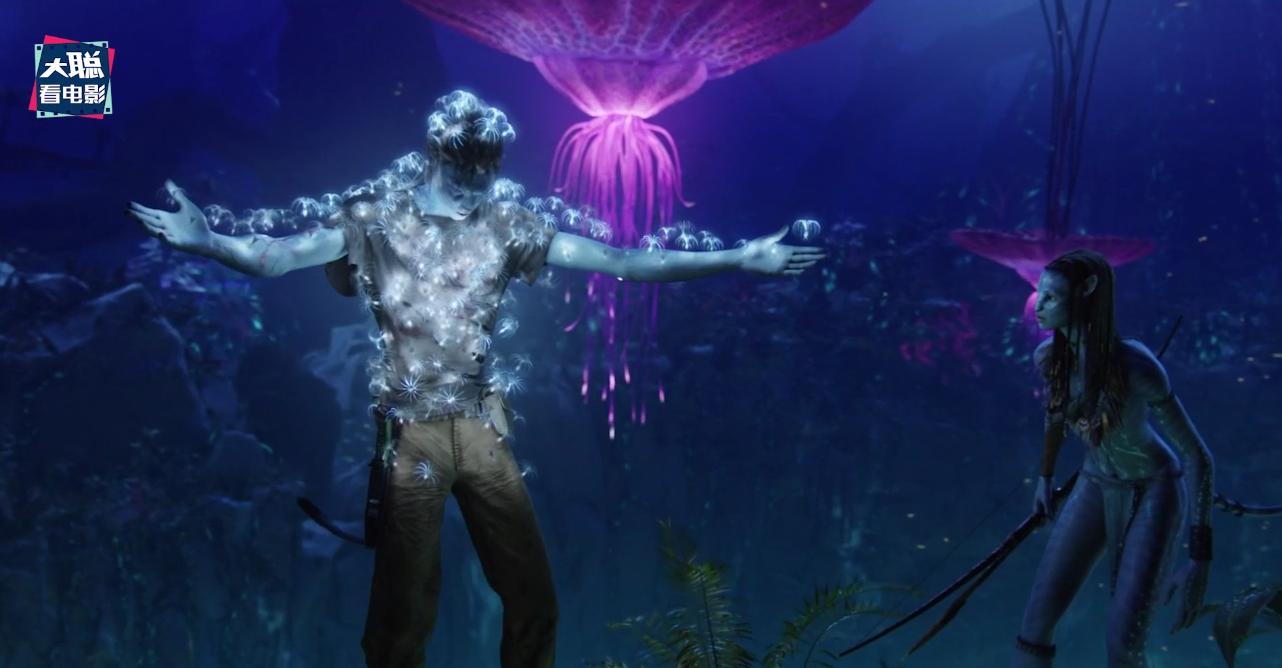 阿凡达细节讲解,阿凡达2全过程讲解