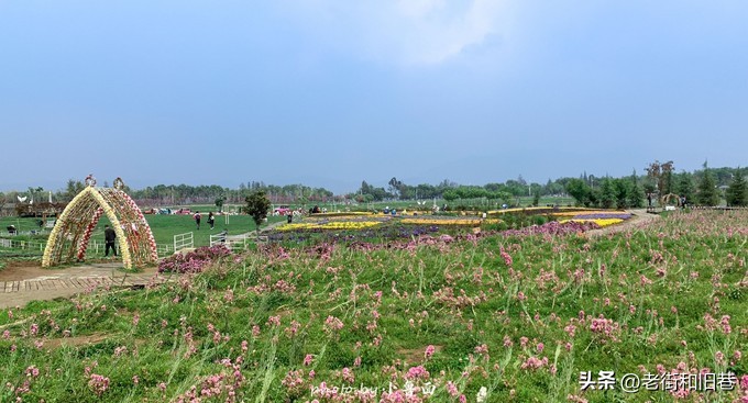 玩转云南自由行,昆明大理丽江6天5晚游多少钱