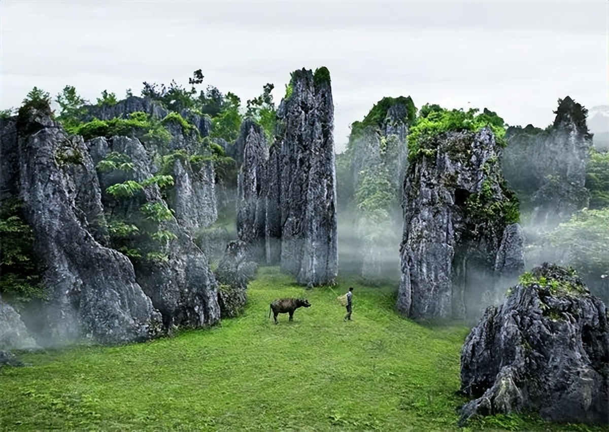 贵阳遵义直达香港,遵义高铁直达香港