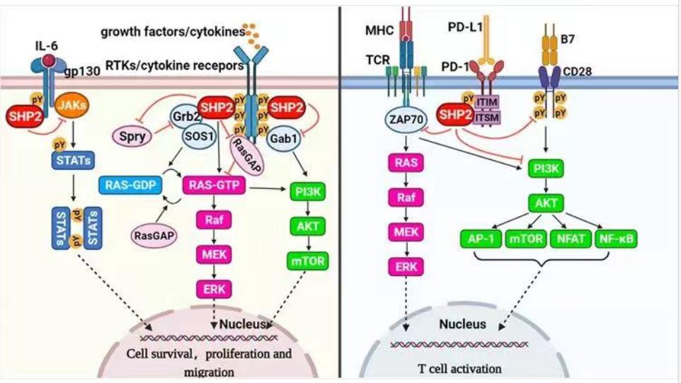 从万人追捧到跌落神坛新消费升级,从全民追捧到无人问津