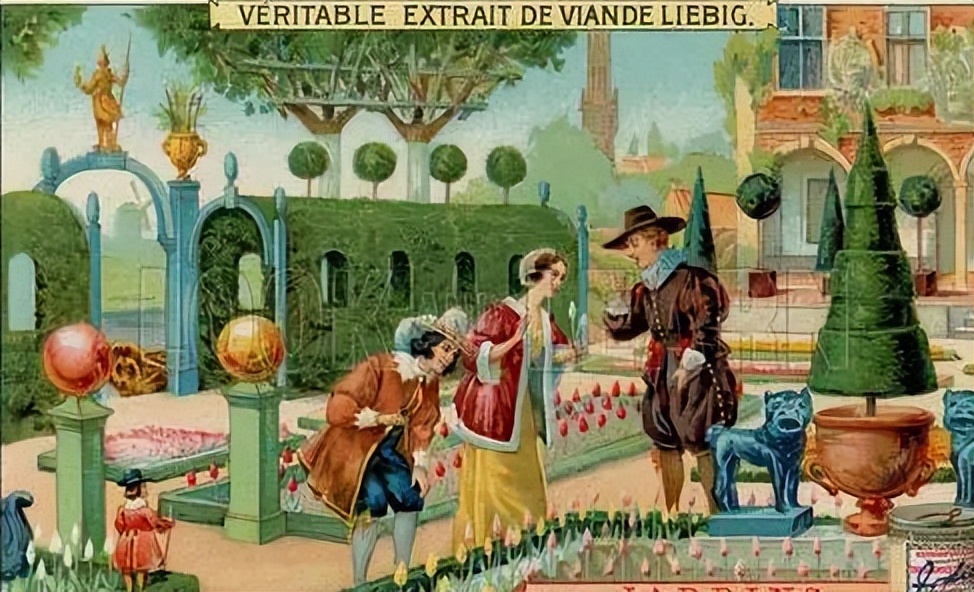 郁金香泡沫对于荷兰有何影响,荷兰郁金香泡沫最大的赢家是谁