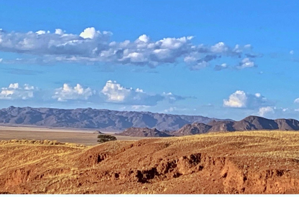 绾崇背姣斾簹绾㈣壊娌欐紶,绾崇背姣斾簹娌欐紶涔嬫梾