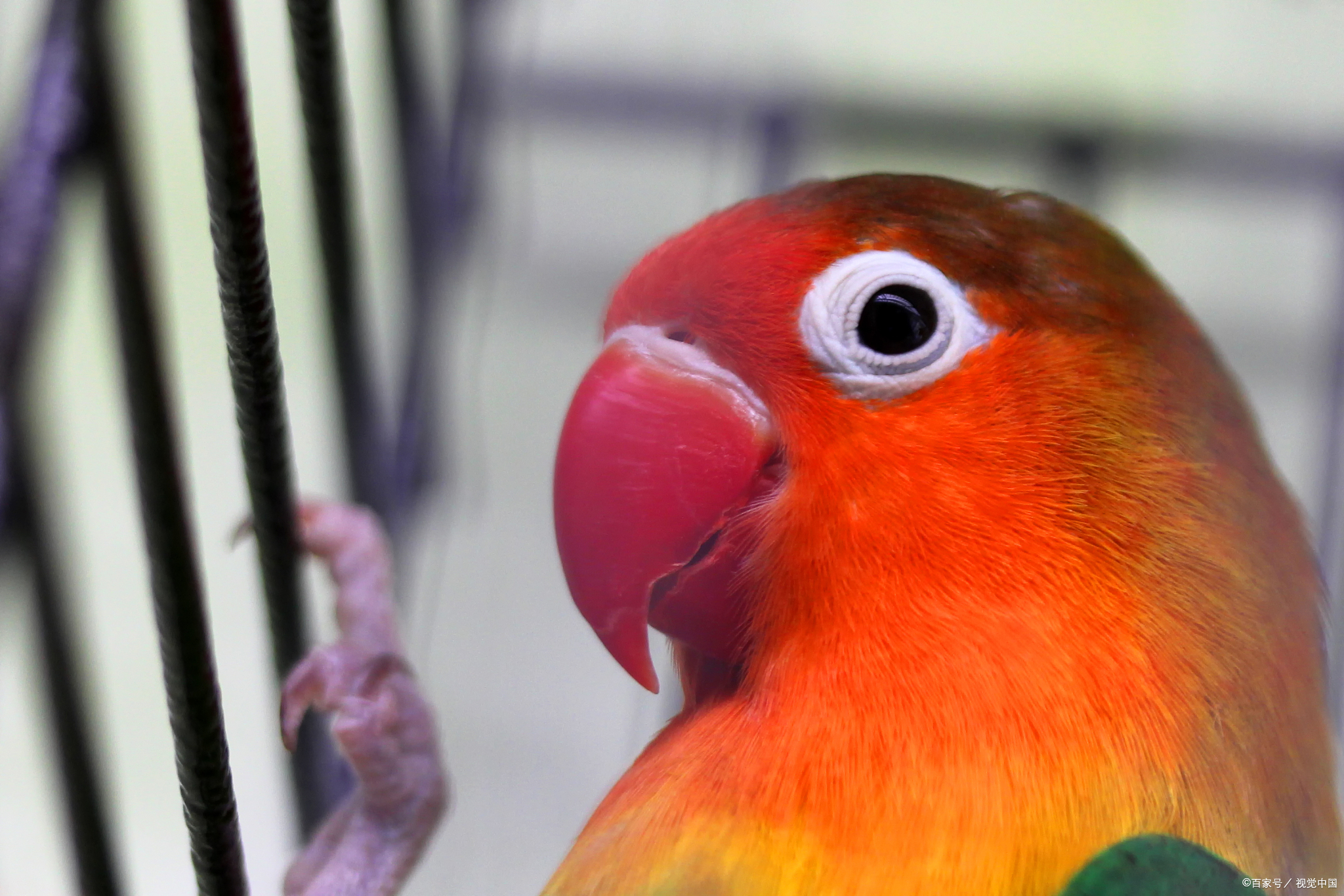 自古深情留不住唯有套路得人心呢,自古深情留不住唯有套路最暖心