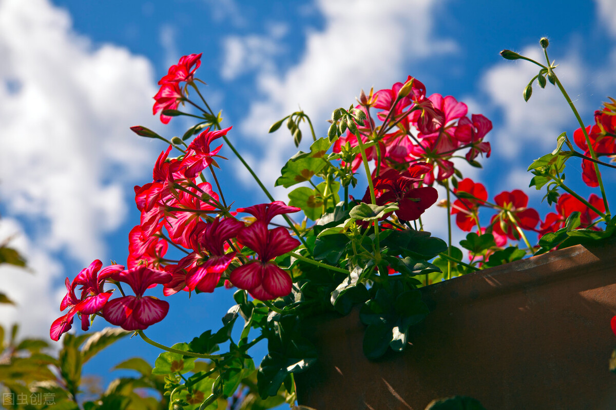 变美的50条习惯,分享40个变美的小细节