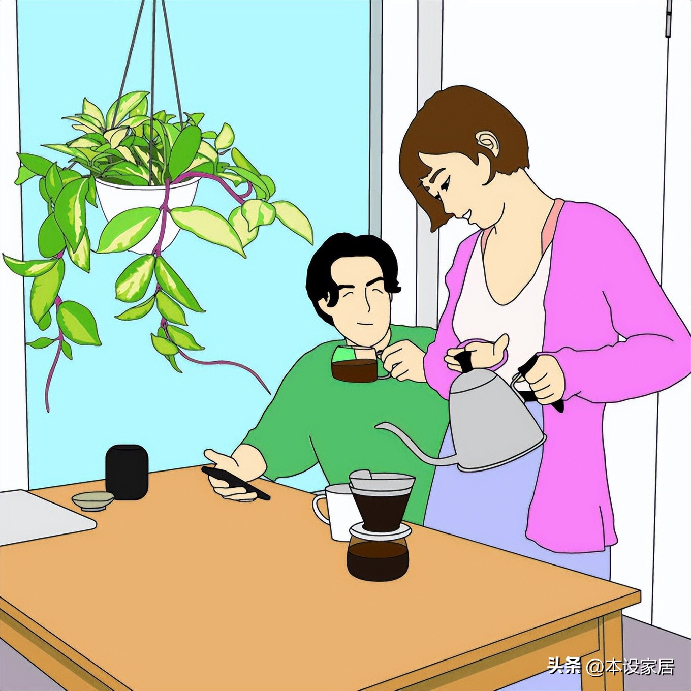 吸甲醛净化空气的绿植和花有哪些,室内净化空气用什么绿植最好